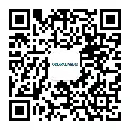 止回閥(介質(zhì)單向流動(dòng)、防倒流閥門)-上?？衫?><p>掃一掃，加微信</p></div></div><div   id=